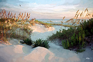 NEW-BETWEEN-THE-DUNES-thumb-Horz