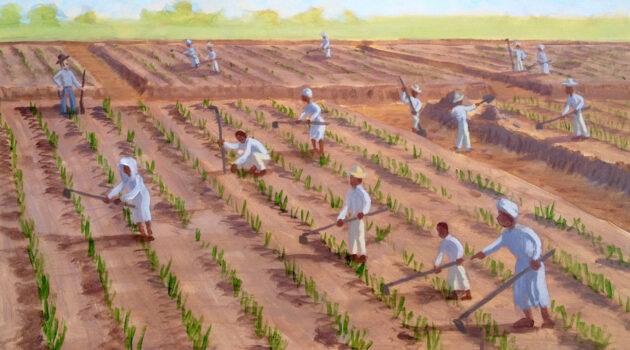 The North Carolina Rice Festival