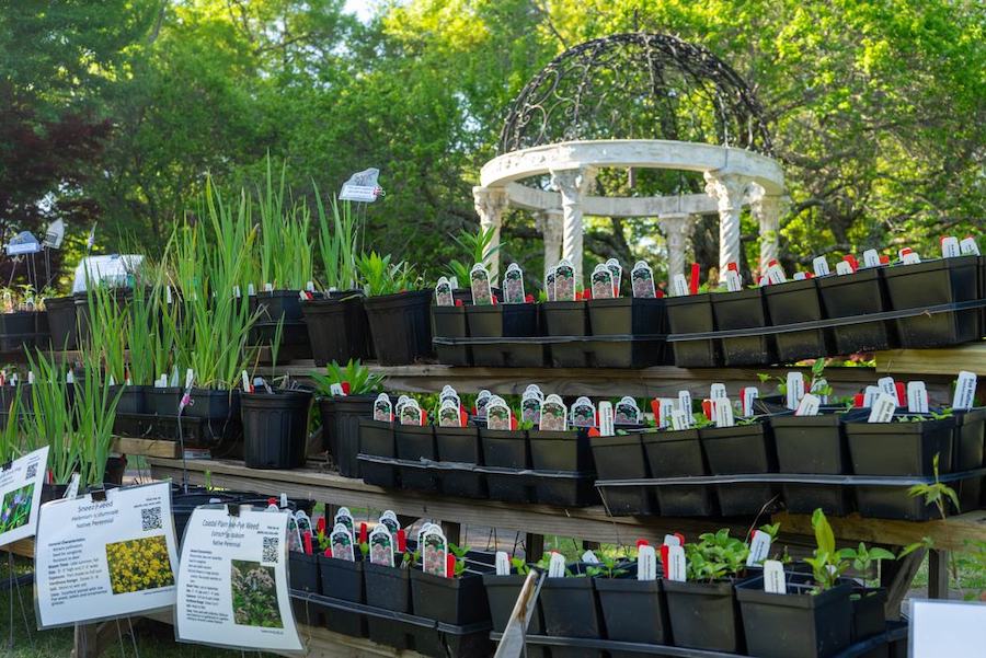 Extension Master Gardener℠ Volunteer Association Plant Sale