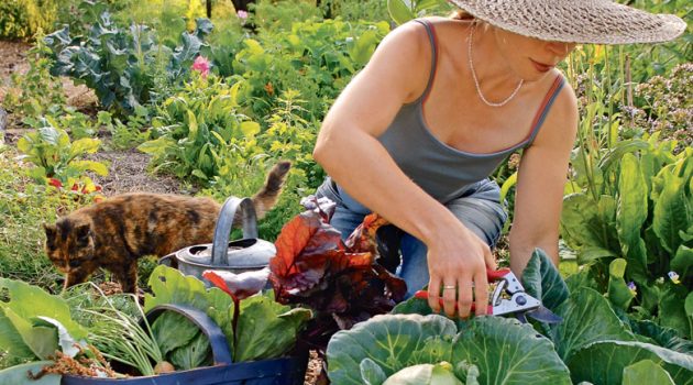 Planning A Spring Garden on The North Carolina Coast